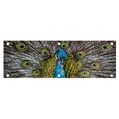 Peacock-feathers2 Banner And Sign 6  X 2 