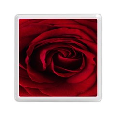 Rose Maroon Memory Card Reader (square)