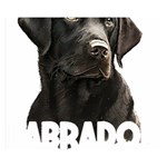 Black Labrador T- Shirt Black Labrador - Labrador Mom T- Shirt (1) Yoga Reflexion Pose T- Shirtyoga Reflexion Pose T- Shirt Premium Plush Fleece Blanket (Small) 50 x40  Blanket Front