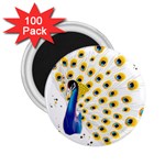 Bird Peafowl Peacock Animal 2.25  Magnets (100 pack)  Front