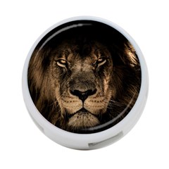 African-lion-mane-close-eyes 4-port Usb Hub (two Sides)
