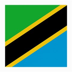 Flag Of Tanzania Medium Glasses Cloth (2 Sides) by Amaryn4rt