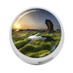 Coast Algae Sea Beach Shore 4-Port USB Hub (One Side) Front