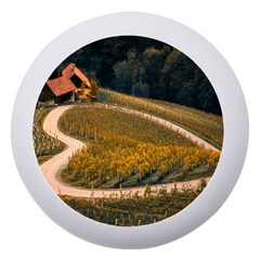 Vineyard Agriculture Farm Autumn Dento Box With Mirror