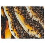 Yellow And Black Bees On Brown And Black Two Sides Premium Plush Fleece Blanket (Extra Small) 40 x30  Blanket Back