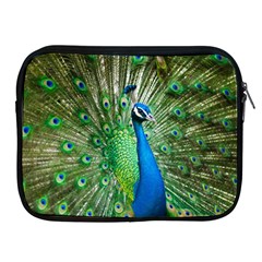 Peafowl Peacock Apple Ipad 2/3/4 Zipper Cases by Sarkoni