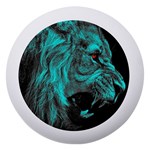 Angry Male Lion Predator Carnivore Dento Box with Mirror Front