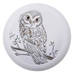 Owl Bird Wildlife Bird Of Prey Dento Box with Mirror Front