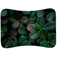 Dark Nature , Nature, Edeg Velour Seat Head Rest Cushion