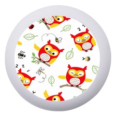 Seamless Pattern Vector Owl Cartoon With Bugs Dento Box With Mirror