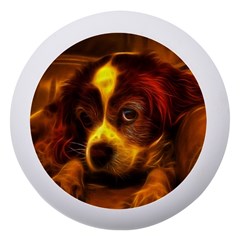 Cute 3d Dog Dento Box With Mirror