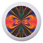 Fresh Watermelon Slices Texture Dento Box with Mirror Front