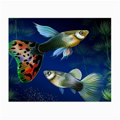 Marine Fishes Small Glasses Cloth
