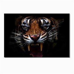 Tiger Angry Nima Face Wild Postcard 4 x 6  (pkg Of 10) by Cemarart