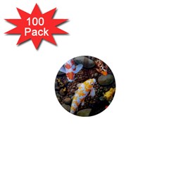 Koi Fish Clown Pool Stone 1  Mini Magnets (100 Pack) 