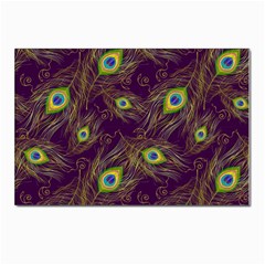 Feathers, Peacock, Patterns, Colorful Postcards 5  X 7  (pkg Of 10)