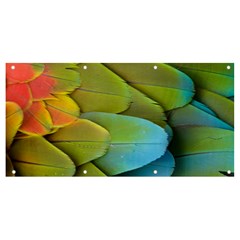 Parrot Feathers Texture Feathers Backgrounds Banner And Sign 8  X 4 