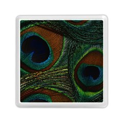 Peacock Feathers, Feathers, Peacock Nice Memory Card Reader (square)