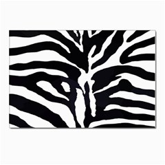 Zebra-black White Postcard 4 x 6  (pkg Of 10)