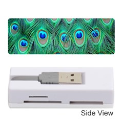 Feather, Bird, Pattern, Peacock, Texture Memory Card Reader (stick)