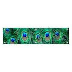Feather, Bird, Pattern, Peacock, Texture Banner And Sign 4  X 1 