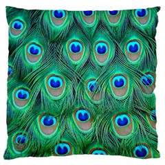 Peacock Feathers, Bonito, Bird, Blue, Colorful, Feathers Standard Premium Plush Fleece Cushion Case (two Sides)