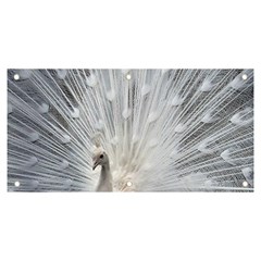 White Feathers, Animal, Bird, Feather, Peacock Banner And Sign 6  X 3 