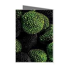 Berry,note, Green, Raspberries Mini Greeting Cards (pkg Of 8)