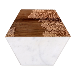 Math Formula Marble Wood Coaster (hexagon)  by Bedest
