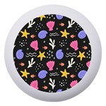 Sea Shells Pattern Wallpaper Fish Dento Box with Mirror Front