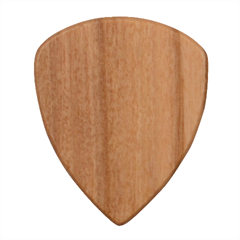 Ice Cream Dessert Food Cake Chocolate Sprinkles Sweet Colorful Drip Sauce Cute Wood Guitar Pick (set Of 10)