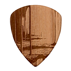 Outdoors Night Moon Full Moon Trees Setting Scene Forest Woods Light Moonlight Nature Wilderness Lan Wood Guitar Pick (set Of 10)