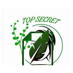 Top Secret Premium Plush Fleece Blanket (small)