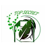 Top Secret Premium Plush Fleece Blanket (Small) 50 x40  Blanket Front