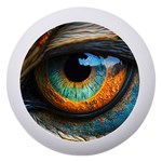Eye Bird Feathers Vibrant Dento Box with Mirror Front