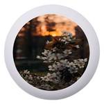 White Flower Dento Box with Mirror Front