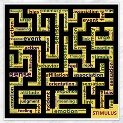 Mindset Stimulus Response Emotion Canvas 16  X 16 
