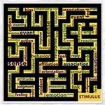 Mindset Stimulus Response Emotion Canvas 16  x 16  15.2 x15.41  Canvas - 1