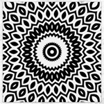 Circular Concentric Radial Symmetry Abstract Canvas 16  x 16  15.2 x15.41  Canvas - 1