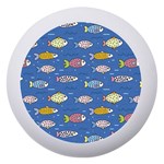 Sea Fish Blue Submarine Animal Dento Box with Mirror Front