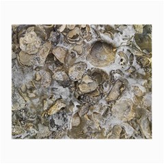 Fossilized Seashell Texture Print Design Bk Small Glasses Cloth