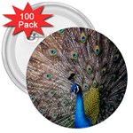 Peacock Bird Animal Peafowl 3  Buttons (100 pack)  Front