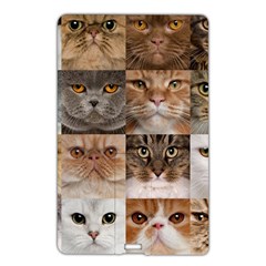 Breeds Of Cats Collage Name Card Style Usb Flash Drive