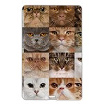Breeds Of Cats Collage Name Card Style USB Flash Drive Front