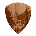 Foroest Nature Trippy Wood Guitar Pick (Set of 10) Front
