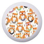 Cute Colorful Owl Cartoon Seamless Pattern Dento Box with Mirror Front