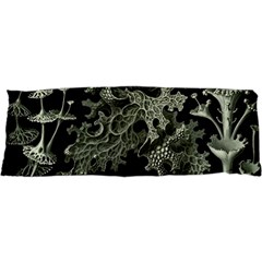 Weave Haeckel Lichenes Photobionten 17 x47  Body Pillow Case Dakimakura (two Sides)