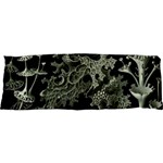 Weave Haeckel Lichenes Photobionten 17 x47  Body Pillow Case Dakimakura (Two Sides) Back