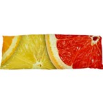 Fruit, Lemon 25 x71  Body Pillow Case Dakimakura (Two Sides) Back