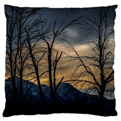 Tree Silhouette At Border Of Nahuel Haupi Lake, Rio Negro, Argentina Standard Premium Plush Fleece Cushion Case (one Side)